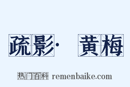 疏影·黄梅是什么意思的图片